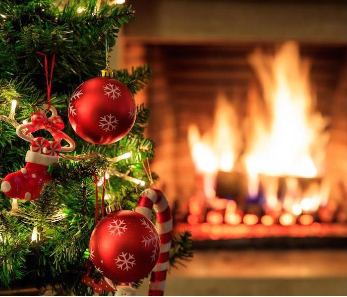 a small Christmas tree in front of a burning fireplace 